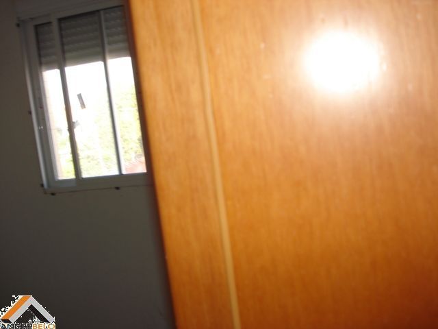Miniatura 11