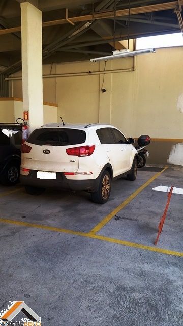 Miniatura 13