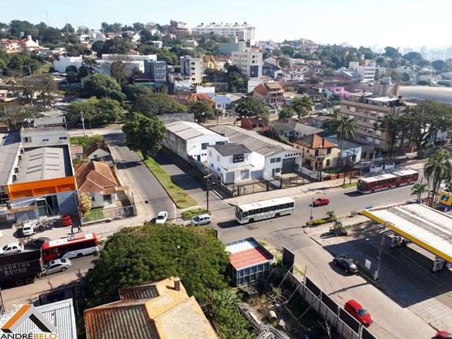 Miniatura 11