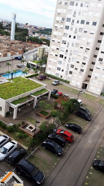 Miniatura 11